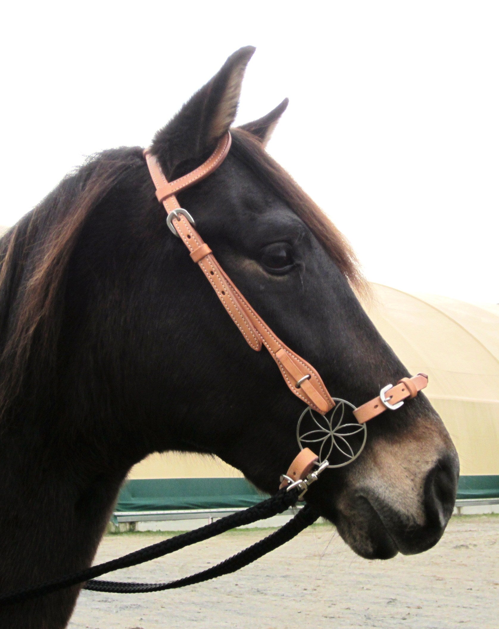 One-ear bridle with quick-change ends 2580