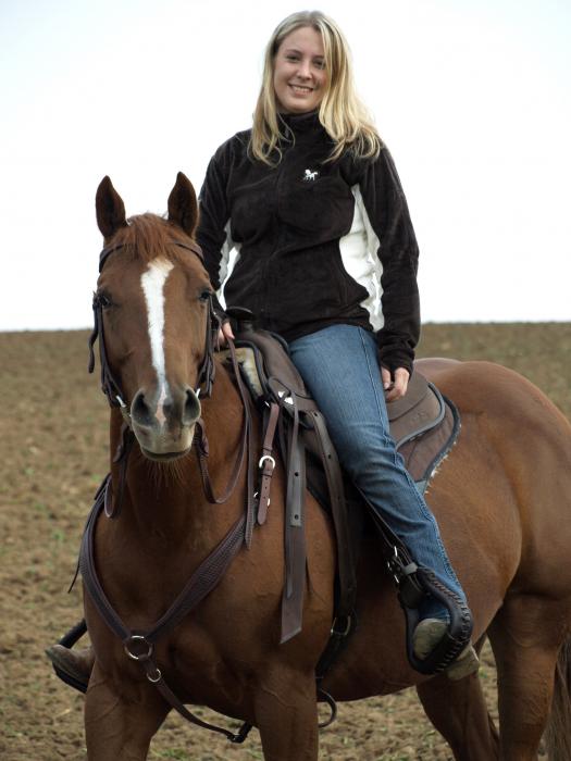 Treeless Barefoot Saddle Arizona