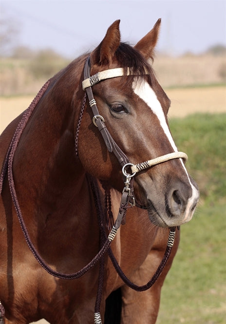 Acorn' headpiece 2-in-1 with real rawhide 