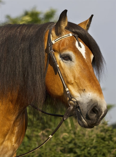 Casque pieds nus « Oaklet »